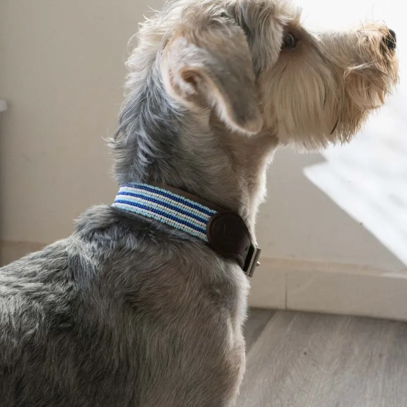 Beaded Dog Collar | Blues
