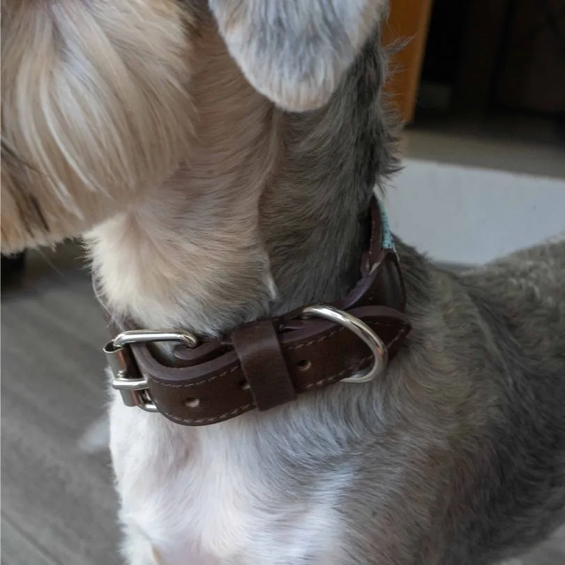 Beaded Dog Collar | Blues