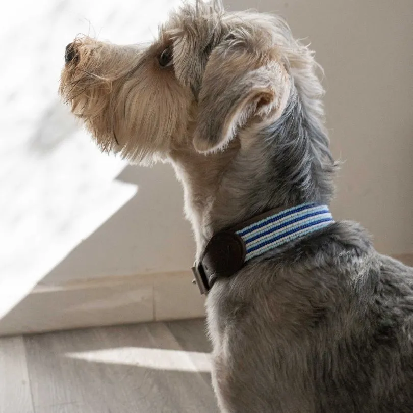 Beaded Dog Collar | Blues