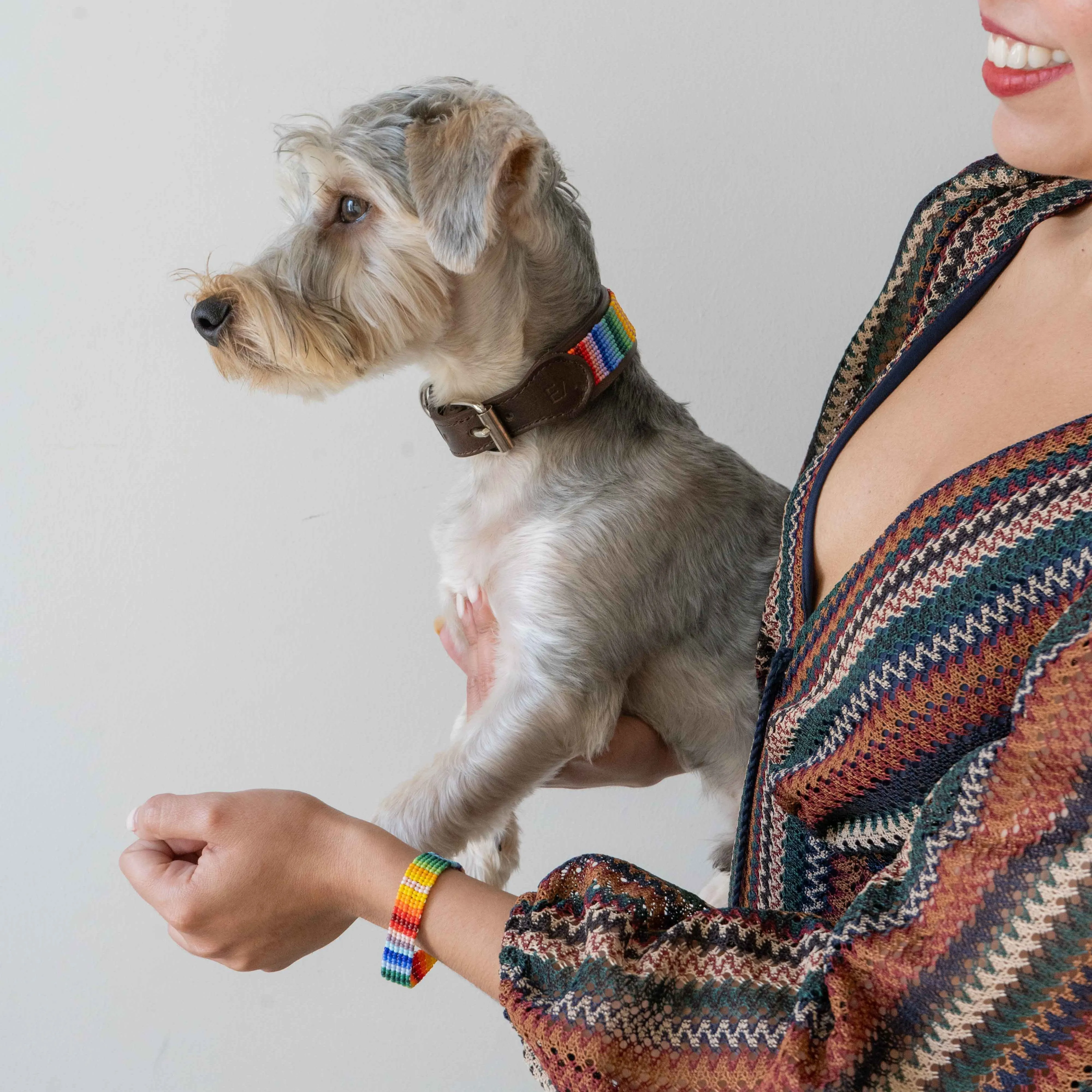 Beaded Dog Collar | Rainbow