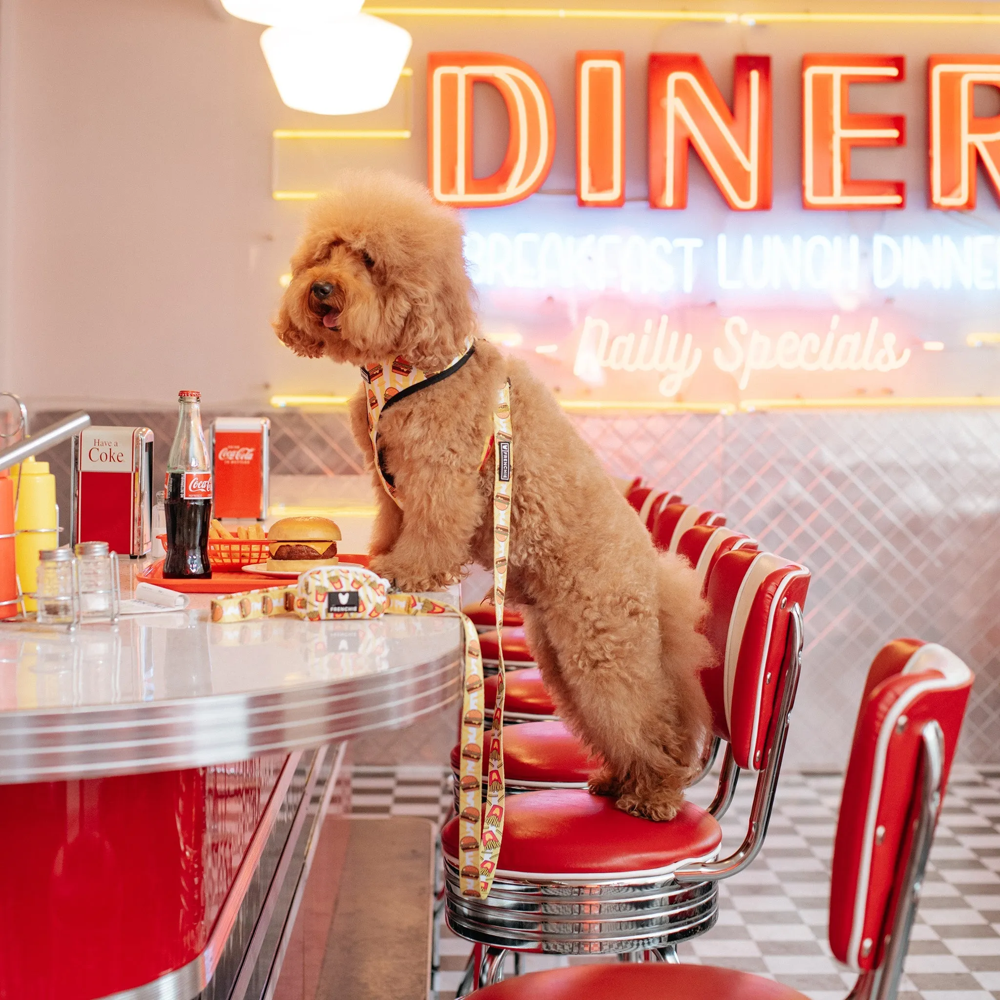 Frenchie Comfort Leash - Burger N Fries