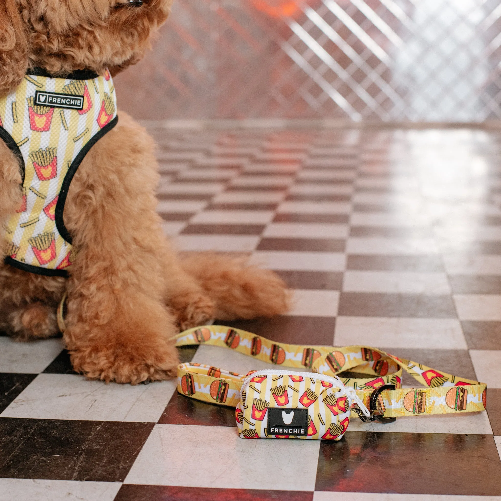 Frenchie Comfort Leash - Burger N Fries