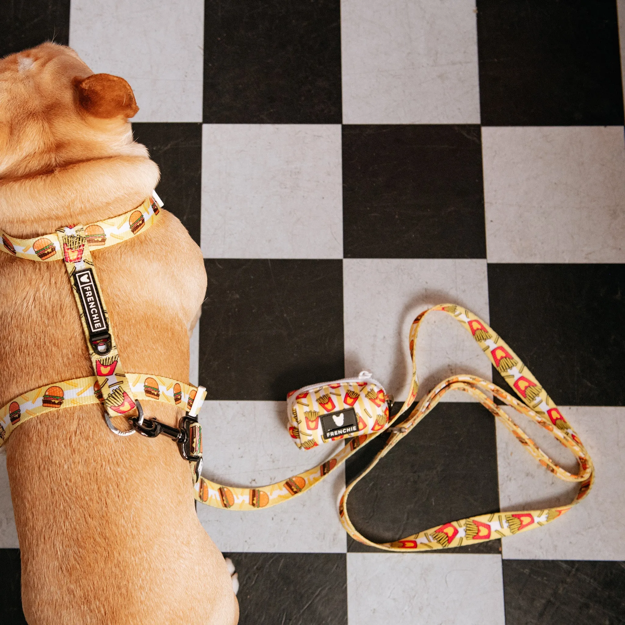 Frenchie Comfort Leash - Burger N Fries