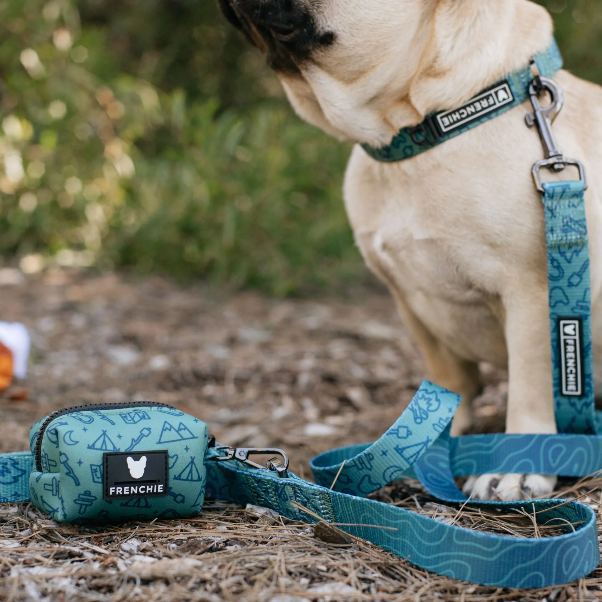 Frenchie Comfort Leash - Camp Frenchie