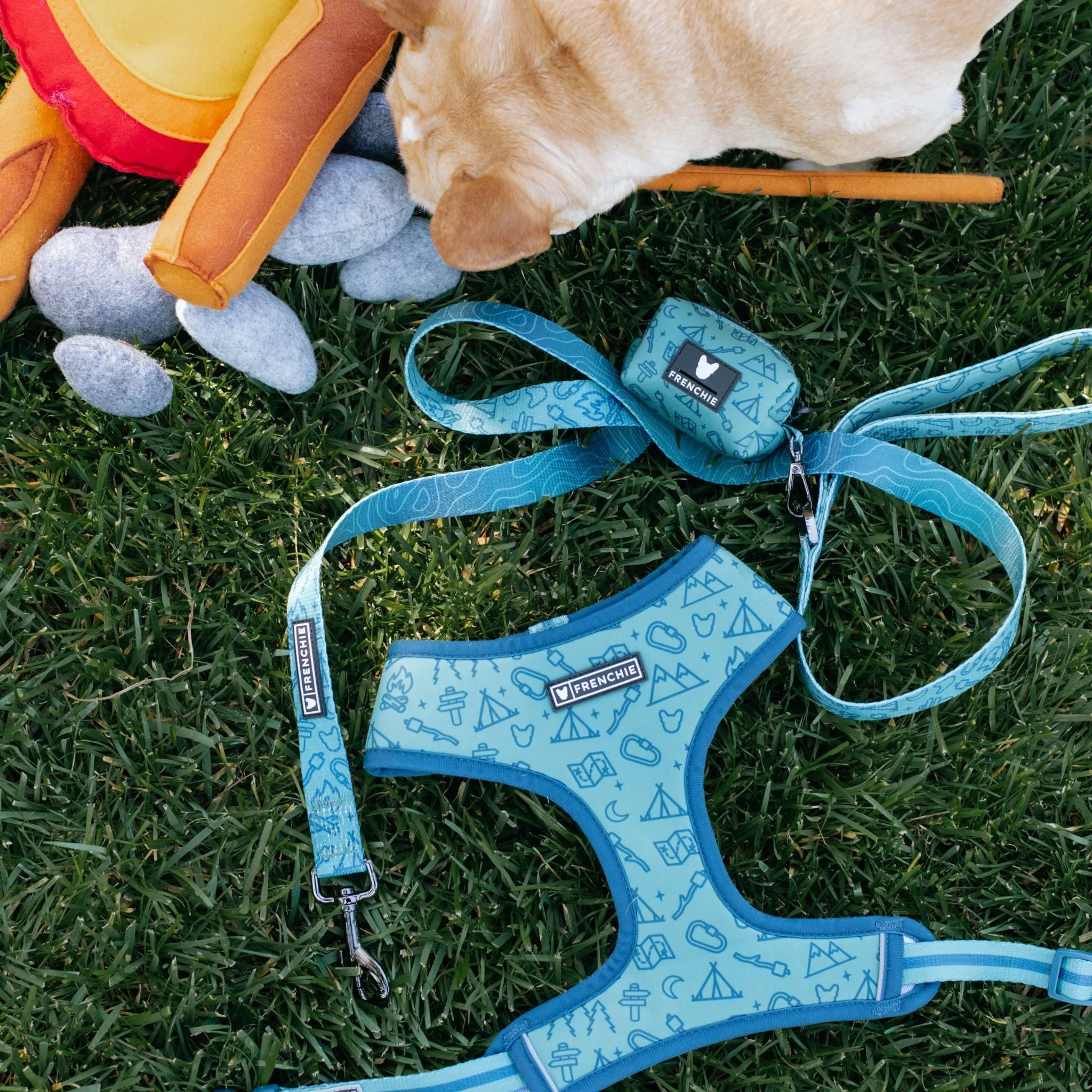 Frenchie Comfort Leash - Camp Frenchie