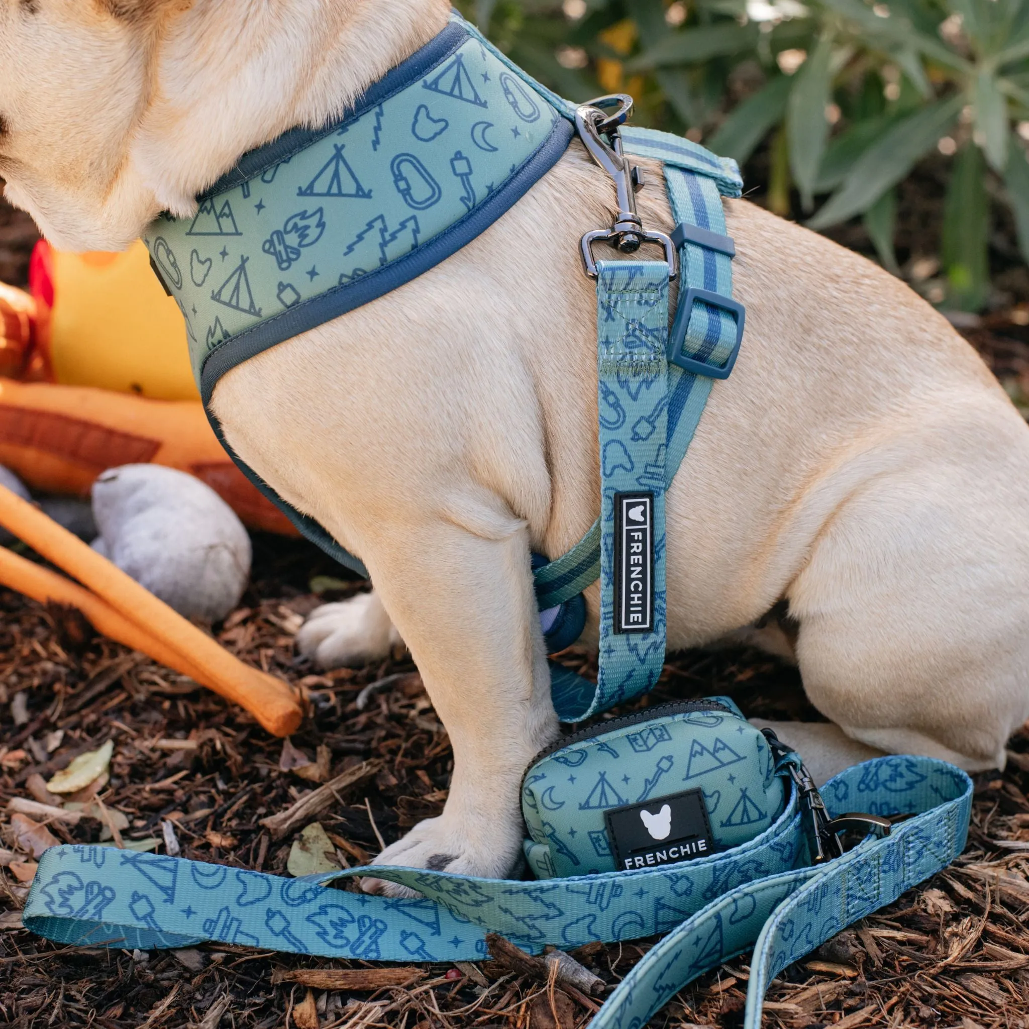 Frenchie Comfort Leash - Camp Frenchie