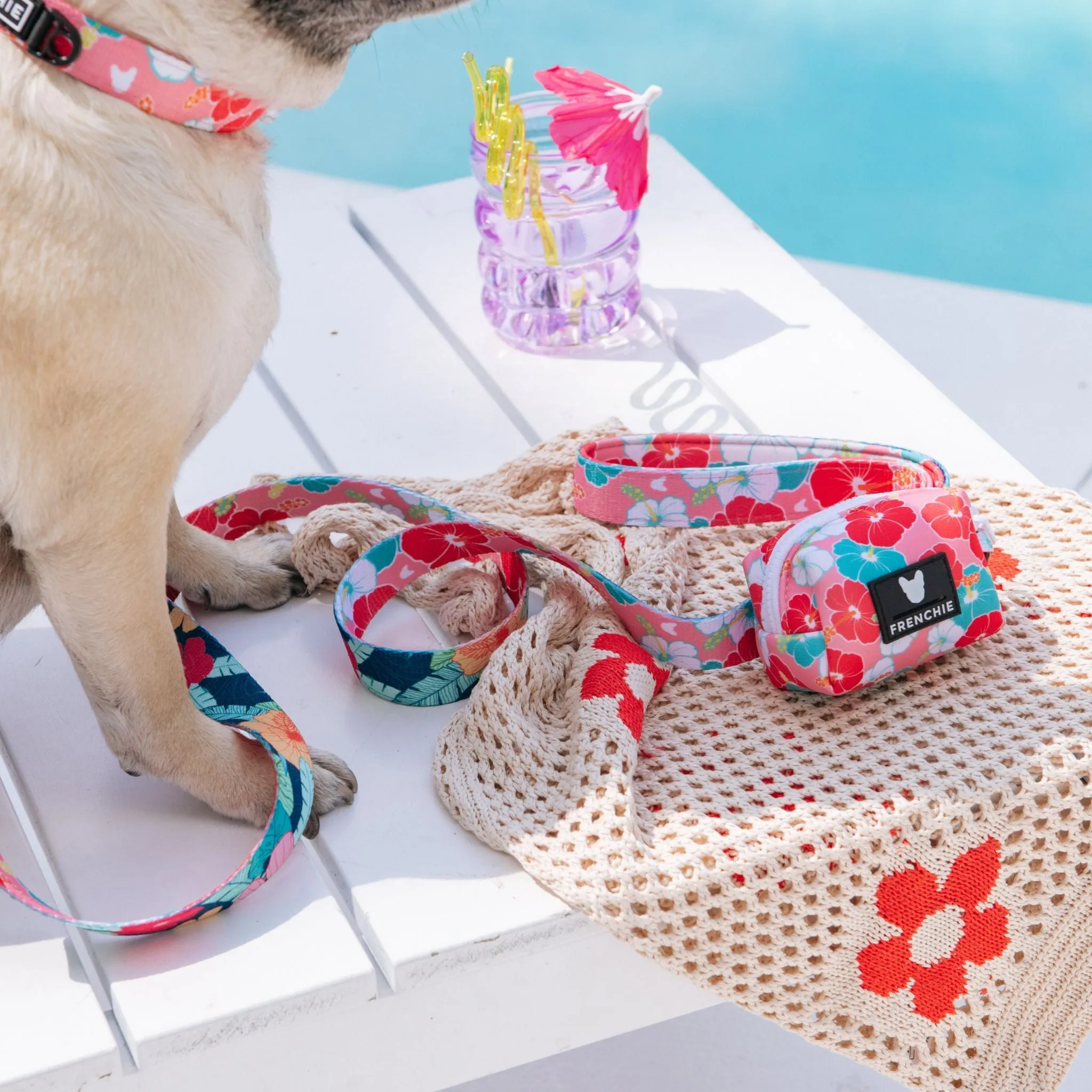 Frenchie Comfort Leash - Paradise