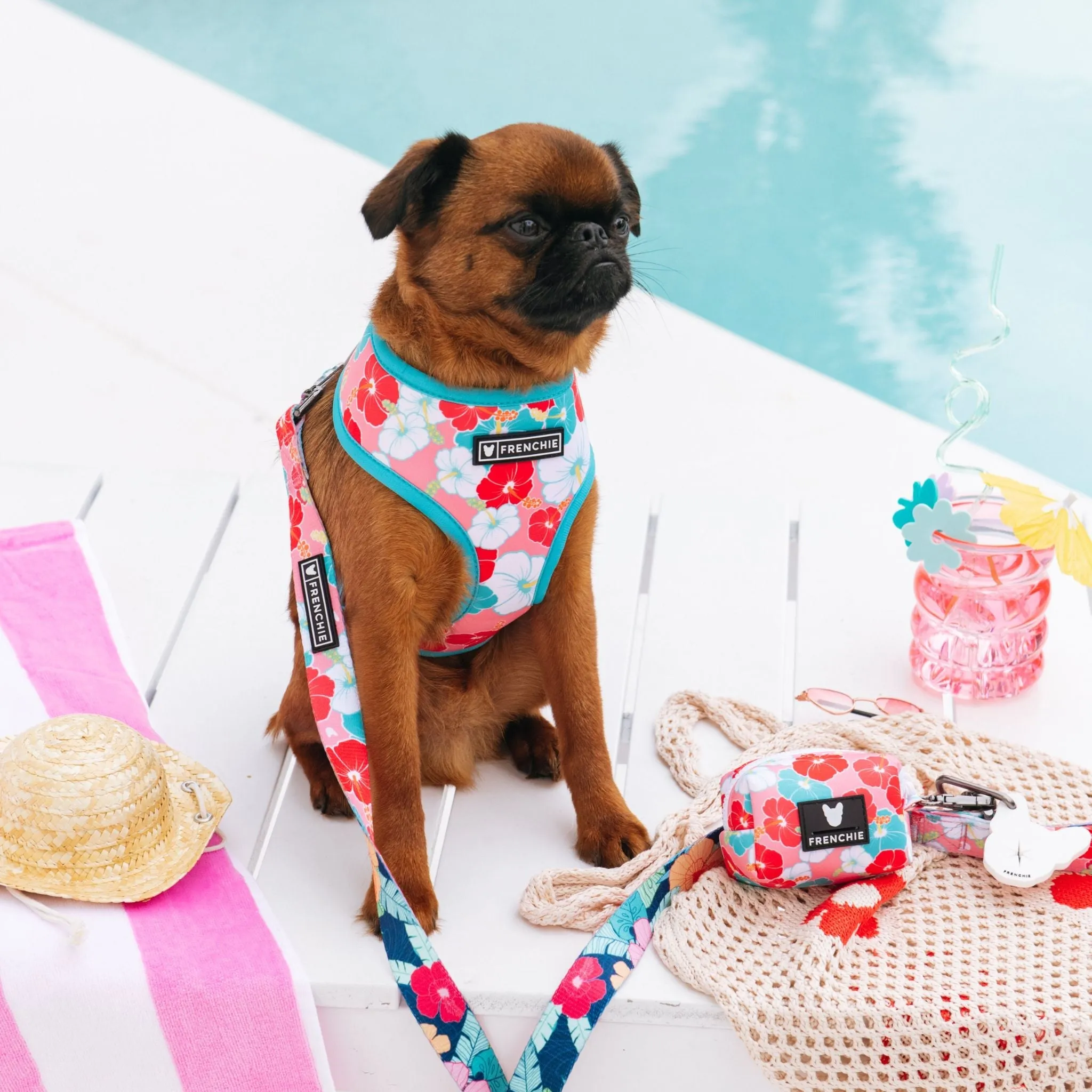Frenchie Comfort Leash - Paradise