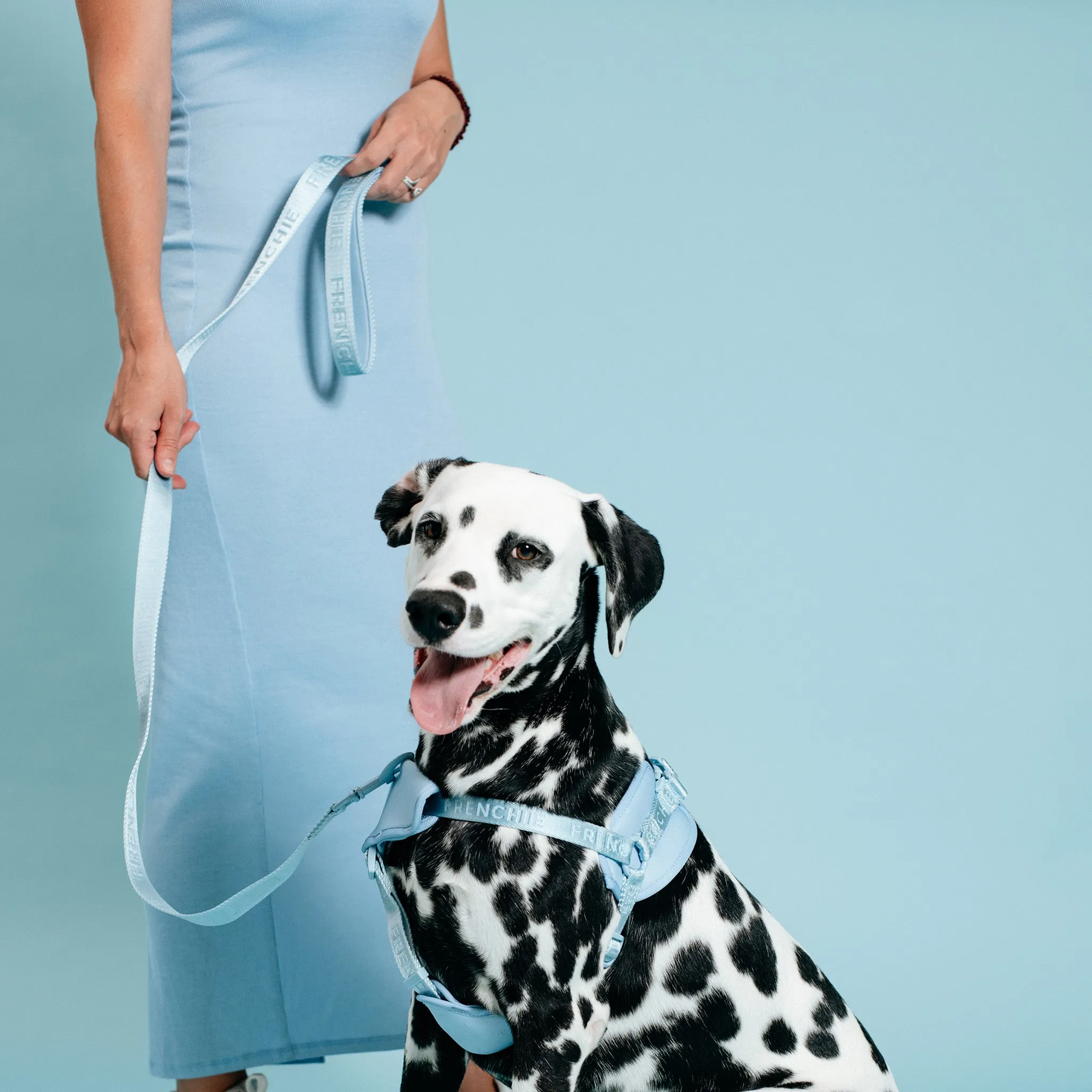 Frenchie Comfort Leash - Sky Blue