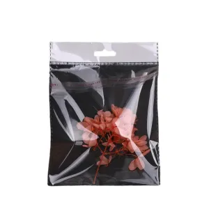 Polyprop Cellophane Selfseal Bags 15.5x31cm Euro Slot Hole 100pack